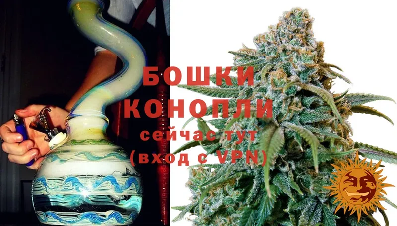 Бошки марихуана SATIVA & INDICA  Новоульяновск 